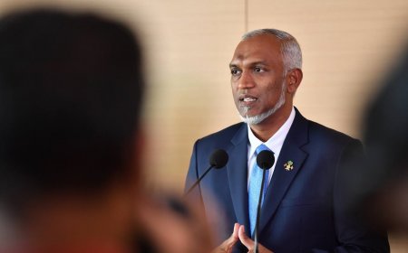 ތުރުކީއަށް އެކްސްޕޯޓުކުރާ މަހުގެ ޓެރިފް ކުޑަކުރަނީ