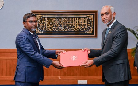 މާލީ ވަޒީރުގެ އެޑްވައިޒަރުންނަށް ދެ ބޭފުޅަކު އައްޔަނު ކޮށްފި.