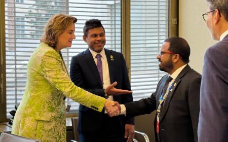 ނައިބުރައީސް ނެދަލެންޑްސްގެ ބޮޑުވަޒީރާ ބައްދަލުކުރައްވައިފި