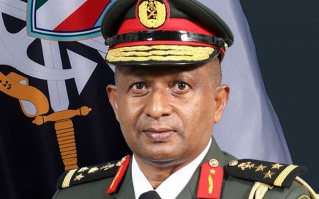 ވައިސް ޗީފް އޮފް ޑިފެންސްގެ މަގާމަށް ޙިލްމީ