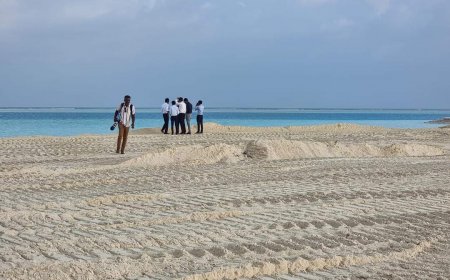 ރަސްމާލެ މަޝްރޫޢުގެ 10 ހެކްޓަރުގެ ބިން މިއަދާއި ހަމަޔަށް ހިއްކައިފި