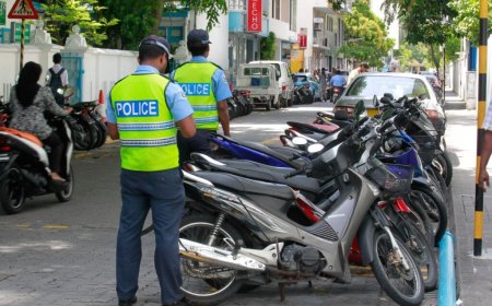 ޕާކް ކުރާނެ ޖާގަނެތުމުން ސްޓިކާޖެހުން މަޑުޖައްސާލައިފި