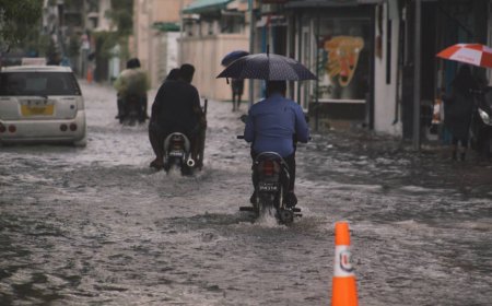 މޫސުމަށް ސަމާލުވުމަށް މެޓް އޮފީހުން އިލްތިމާސް ކޮށްފި