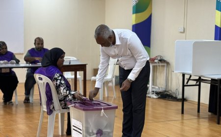 ރައީސް ވޯޓު ލައްވައިފި