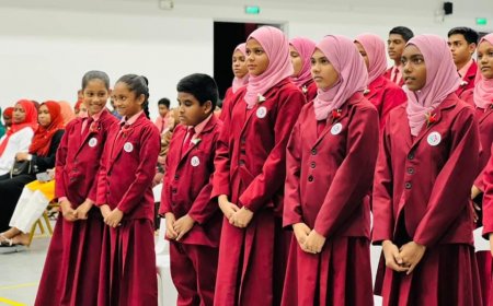 ގައުމިއްޔަތު ވަކި މާއްދާއެއްގެ ގޮތުގައި ކިޔަވައިދޭން ފަށަނީ