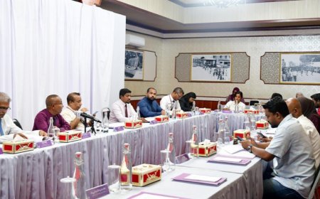 އިންތިޚާބުގެ ލަފާދޭ ކޮމެޓީއަށް ނުކުޅެދުންތެރިކަން ހުންނަ މީހުން ތަމްސީލުކުރާނެ ޖަމިއްޔާއެއް ހޯދަނީ