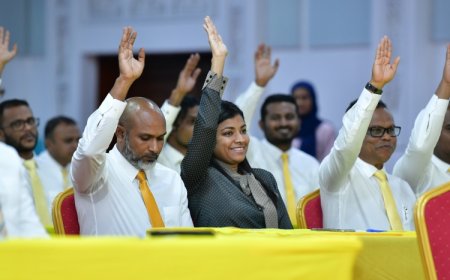 އިތުރު 10 މެންބަރަކަށް ޕްރައިމަރީއަކާ ނުލާ ޓިކެޓް ކަށަވަރުވެއްޖެ