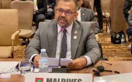 ނާމް އަކީ މިހާރަށްވުރެ ބާރުވެރި ޖަމްއިއްޔާއަކަށް ހަދަންޖެހޭ: ޒަމީރު