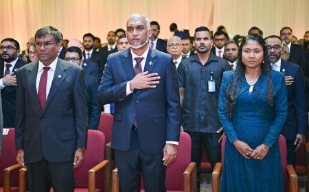 މިދިޔަ އަހަރު ގާނޫނުތަކުގައި ހުރި ބާގަނޑުތައް ފޫބައްދައި ހައްލު ހޯދުނު: އުއްތަމަ ފަނޑިޔާރު