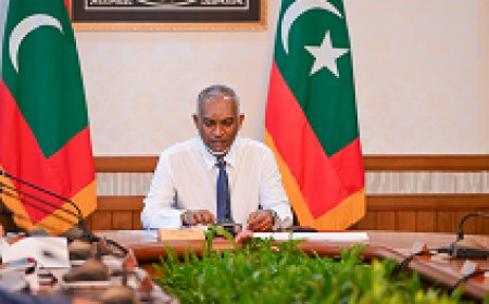 ދިވެހި ތަރިކަ ދިރާސާކުރާ ގައުމީ މަރުކަޒު އުފައްދައިފި