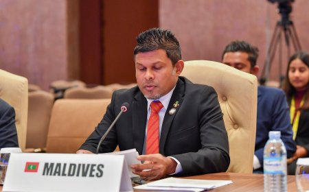 މޫސުމީ ބަދަލުތައް ހައްލުކުރުމަށް ހަރުދަނާ ފިޔަވަޅު އަޅަންޖެހޭ: ނައިބްރައީސް