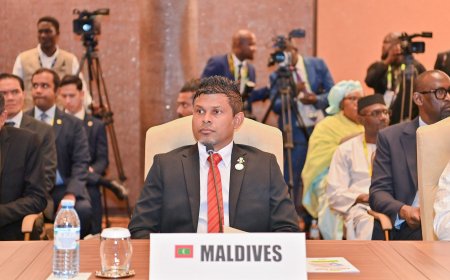 އިޒްރޭލްގެ މައްޗަށް ދައުވާކުރީތީ ނައިބްރައީސްގެ ތައުރީފު ދެކުނުއެފްރިކާއަށް