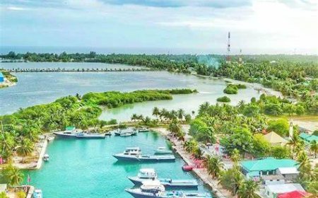 އައްޑޫ ބްރިޖުގެ މަސައްކަތަށް މިސްރު ކުންފުންޏަކުން ޝައުގުވެރިކަން ފާޅުކޮށްފި