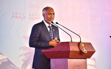 ރައީސުލްޖުމްހޫރިއްޔާ އަޒުލުކުރުމުގެ  މަސައްކަތް ފަށައިފި