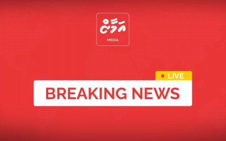 މަޖިލީހުގެ ރައީސާއި ނައިބުރައީސްގެ އިތުބާރު ނެތް ކަމުގެ މައްސަލައެއް ހުށަހަޅައިފި