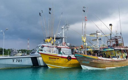 ގަވާއިދާ ޚިލާފަށް މަސްވެރިކަން ކުރަމުންދިޔަ 2 މަސްބޯޓު އަތުލައިގެންފި