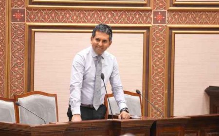 ވިޕާ ޚިލާފަށް ވޯޓު ދެއްވި މައްސަލަ ބަލައި ފިޔަވަޅު އަޅާނަން: ކެލާ އިބުރޭ