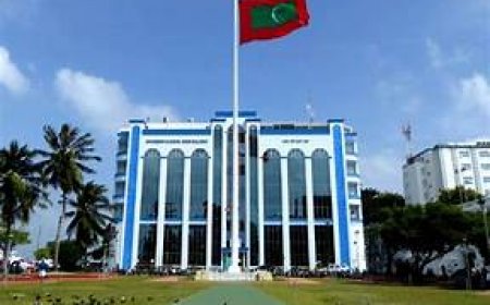 މިލިއަނަކަށްވުރެ ގިނަ ރުފިޔާގެ ތަކެތި ވަގަށްނެގި މައްސަލައެއްގައި 2 މީހަކު  ހައްޔަރުކޮށްފި