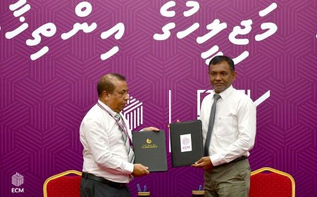 މަޖިލީސް އިންތިޚާބު އޮބްޒާވްކުރުމުގެ ފުރުސަތު ހުޅުވައިލައިފި