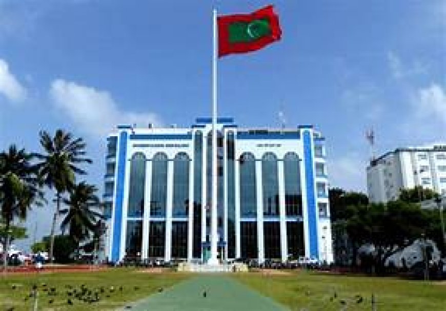 މިލިއަނަކަށްވުރެ ގިނަ ރުފިޔާގެ ތަކެތި ވަގަށްނެގި މައްސަލައެއްގައި 2 މީހަކު  ހައްޔަރުކޮށްފި