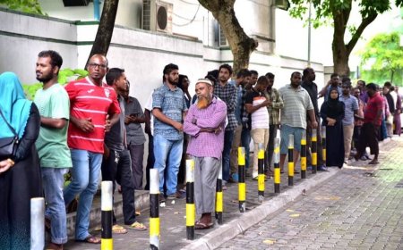މަޖިލިސް އިންތިޚާބަށް ރީ-ރަޖިސްޓަރީ ކުރުމަށް 1257 މީހުން ހުށަހަޅައިފި. މިއީ ނިސްބަތުން މަދު އަދަދެއް