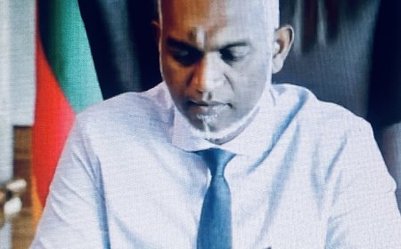 ގޯތި ލިބިފައިވާކަމުގެ ވަގުތީ ލިޔުން ދޫކުރަނީ
