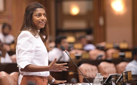 ފްލެޓްތައް އަވަހަށް ދޫކުރަން ގޮވާލަ މަޖިލީހަށް ކުއްލި މައްސަލައެއް