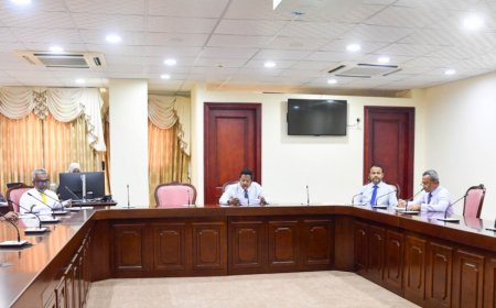 ރޯދަމަހަށްފަހު މަޖިލީސް އިންތިޚާބު ބާއްވަން  އާންމު ކޮމިޓީން ފާސްކޮށްފި