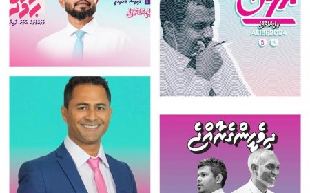 ޕީ.އެސް.އެމް މަޖިލިސް ބަހުސް: ފުވައްމުލަކުގެ ދާއިރާތައް ފުވައްމުލަކުގައި ބާއްވަނީ