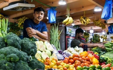 ހުއްދަނެތި އަމިއްލައަށް ވިޔަފާރިކުރާ ބިދޭސީން ޑީޕޯރޓްކޮށްލެވޭނެ: ކޮންޓްރޯލަރ ޖެނެރަލް އޮފް އިމިގްރޭޝަން