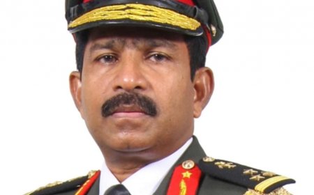 ތުރުކީ ސަފީރަކަށް ޢަބްދުއްރަހީމް، ޕާކިސްތާނު ސަފީރަކަށް ތޯހާ  އަށް ރުހުންދީފި