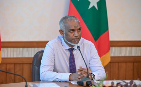 އެމްއެމްޕީއާރްސީ،  ޚިޔާނާތުގައި ބައިވެރިވި އެންމެންގެ މައްސަލަ ބަލާނަން-ރައީސް
