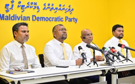 އެމްޑީޕީ  ޤައުމީ މަޖިލީހުން  ހުސްވެފައިވާ 29 ދާއިރާއެގެ  ރައީސް ކަމަށް ކުރިމަތިލުމަށް ހުޅުވާލައިފި