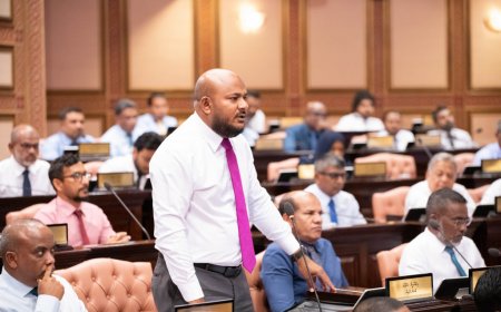 މާލިއްޔަތު ކޮމިޓީން ޝުޖާއު ބަދަލުކޮށްފި