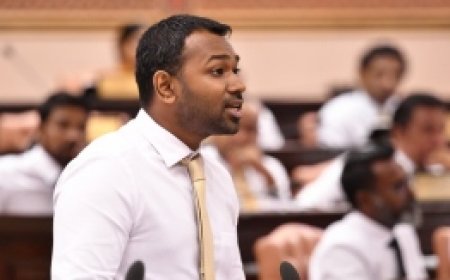 ސިޔާސީ މަގާމުތައް ހާމަ ކުރަން ލާޒިމުވާ ގޮތަށް ހުށަހެޅި ކުއްލި މައްސަލަ ބޭރުކޮށްލައިފި