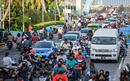 އެއްގަމުއުޅަނދު ރަޖިސްޓްރީކޮށްދެވޭނެ އަދަދާއި ބޭނުންކުރެވޭނެ މުއްދަތު ކަނޑައެޅުމުގެ މަސައްކަތް ފަށައިފި