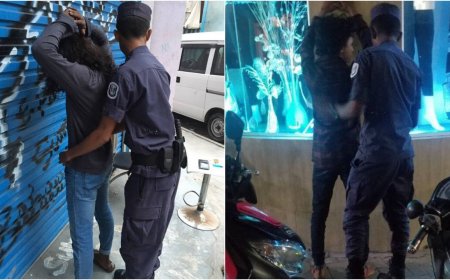 މިދިޔަ މަހު ވައްކަމާއި ފޭރުމުގެ މައްސަލަތައް މަދު