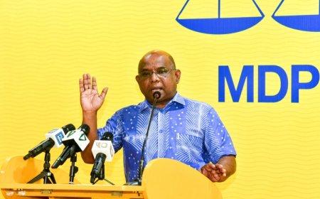 ކައުންސިލަރުންގެ ޢަދަދު މަދުކުރަން  ނުފެނޭ-ޝާހިދު