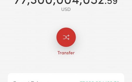 އޮޅިގެން ބޭންކް އޮފް މޯލްޑިވްސް އިން ބައެއް އެކައުންޓަށް ފޮނުވި އެތައް މިލިއަން ޑޮލަރު އަނބުރާ ހޯދައިފި