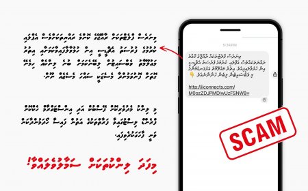 ވިނަރެސް ފްލެޓްތަކާ ގުޅޭ ސްކޭމް ލިންކެއް. ސަމާލުވޭ!
