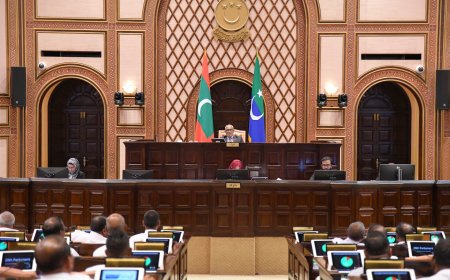 ބަހުސްކުރާނެ މެމްބަރަކު ނެތި ޖަލްސާ ކުރުކޮށްލައިފި