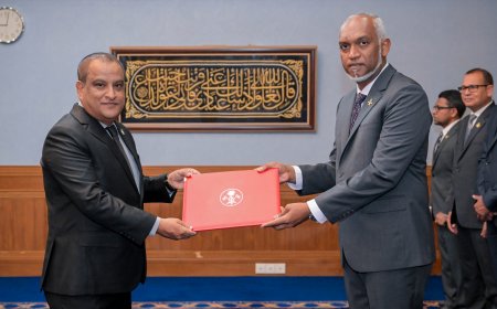 އެލް.ޖީ.އޭގެ ސީ.އީ.އޯއަކަށް ނިމާލް