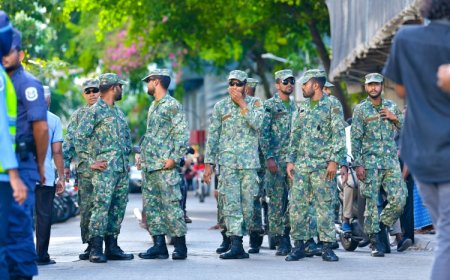 2013 ވަނަ އަހަރު ބޭ އިންސާފުން ސިފައިންގެ ވަޒީފާއިން ވަކިކުރި މީހަކަށް 1.8 މިލިއަން ރުފިޔާ ދޭން ހުކުމް ކޮށްފި