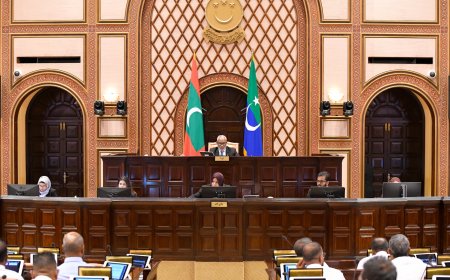 ލޯކަލް ކައުންސިލްތަކުގެ ބައި-އިލެކްޝަންތައް އަހަރަކު ދެފަހަރު ބާއްވާ ގޮތަށް ޤާނޫނު އިސްލާހުކޮށްފި