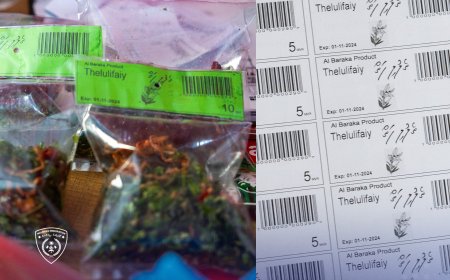 އިއްޔެ ބަލާ ފާސްކުރި ތަނުގައި އުފައްދާ ކާބޯތަކެތީގެ ފޮޓޯ އިމިގްރޭޝަނުން އާންމު ކޮށްފި