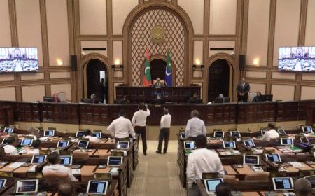 އެމްޑީޕީގެ 4 މެމްބަރެއްގެ ނަން އިއްވުމަށްފަހު ޖަލްސާ މެދުކަނޑާލައިފި