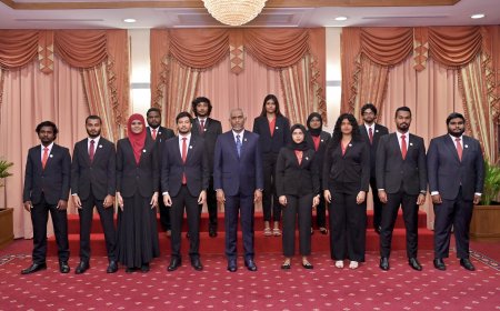 ދިވެހި ޒުވާނުންގެ ގައުމީ ލަފާދޭ ކޮމިޓީ އިފްތިތާހުކޮށްފި