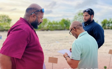 ގޯތި ލިބުނު މީހަކު ނިޔާވެފައިވާނަމަ ވާރިސުންނަށް އެގޯތި ހަވާލުކުރަނީ