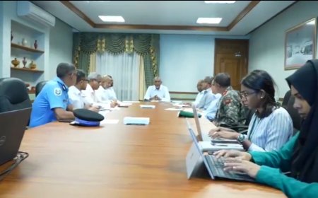 ވިއްސާރައިގެ ސަބަބުން ދިމާވާ ކަންކަން މޮނިޓަރ ކުރުމަށް ރައީސްގެ ޓާސްކްފޯހެއް