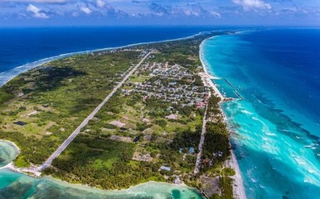 ބޮގަރު ކައްކާ ވިޔަފާރި ކުރަމުންދިޔަ ދެ މީހަކު ލ.ގަމުން ހައްޔަރު ކޮށްފި